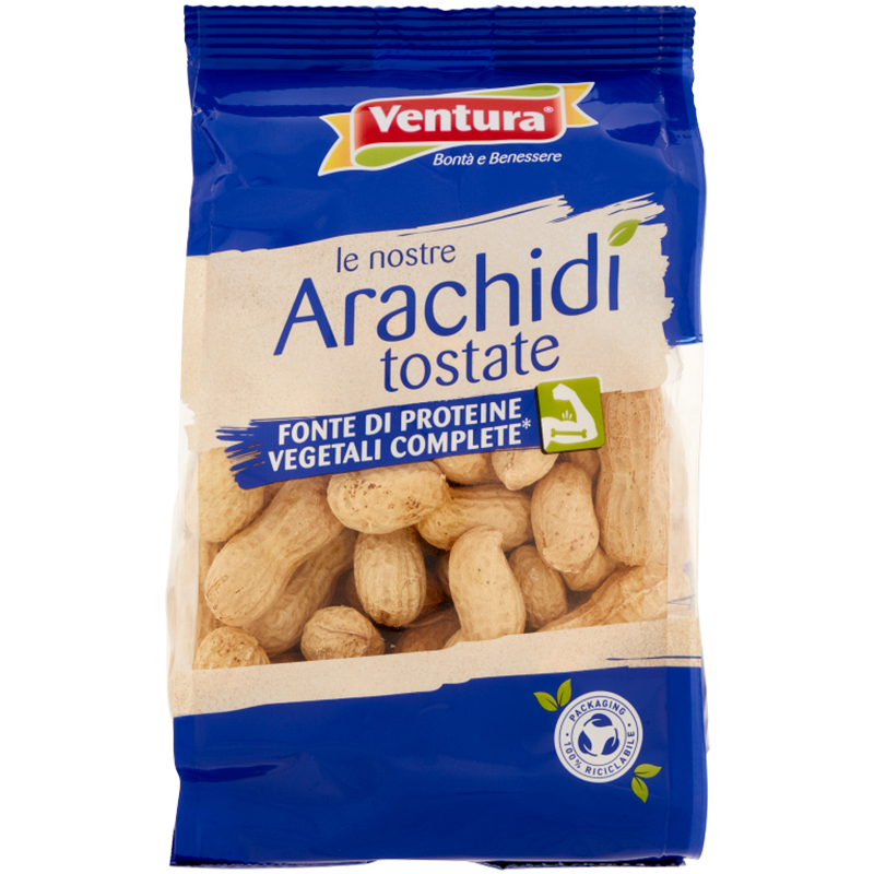 Arachidi tostate in guscio non salate Arachidi tostate in guscio non salate