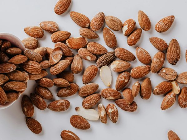 Microbiota e alimentazione: perché mangiare le Mandorle Microbiota e alimentazione: perché mangiare le Mandorle